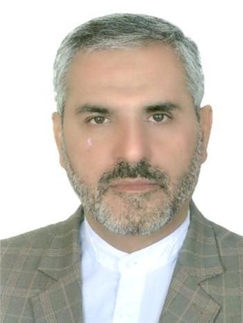 محمدرضا میرشمسی